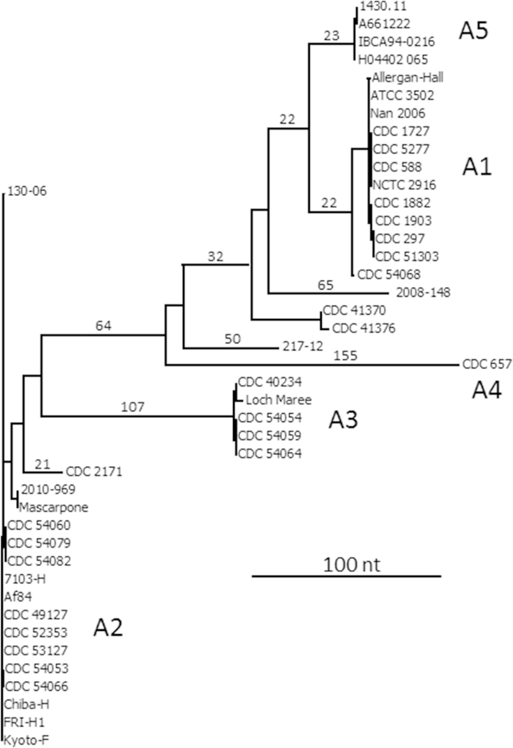 Fig. 4