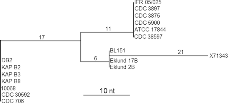 Fig. 7