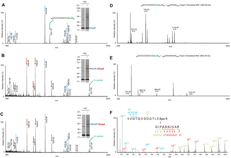 Figure 4—figure supplement 2.