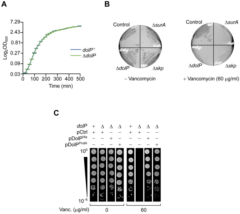 Figure 1—figure supplement 1.