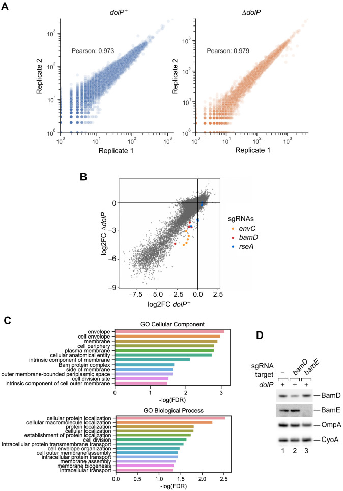 Figure 1—figure supplement 2.