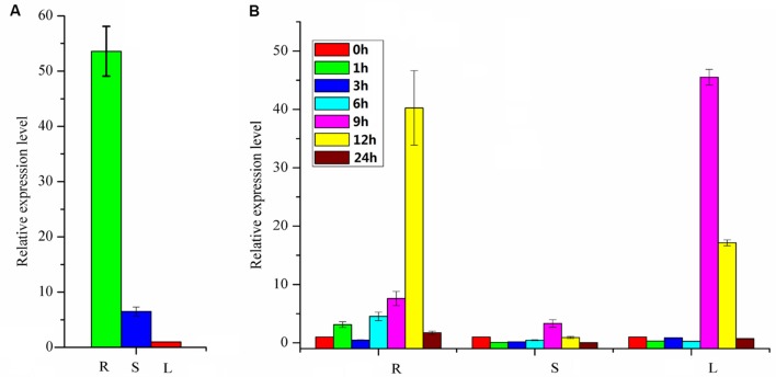 FIGURE 6