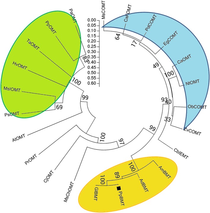 FIGURE 3