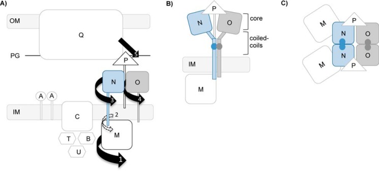 FIGURE 9.