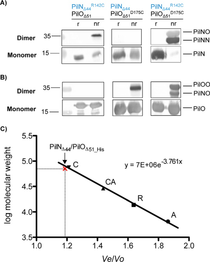 FIGURE 3.