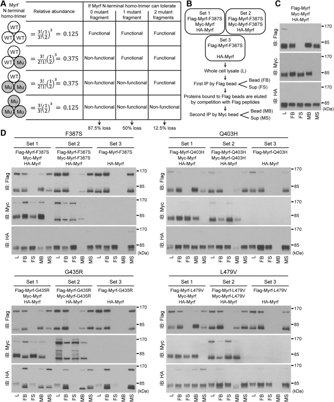 Figure 6