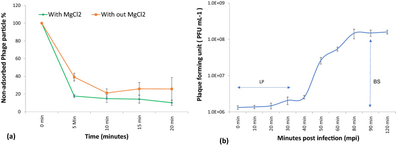 Figure 10