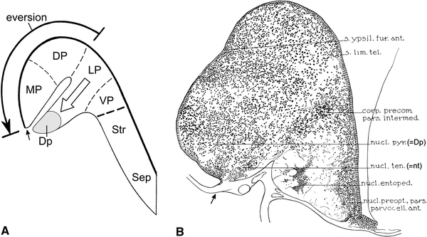 Fig. 8