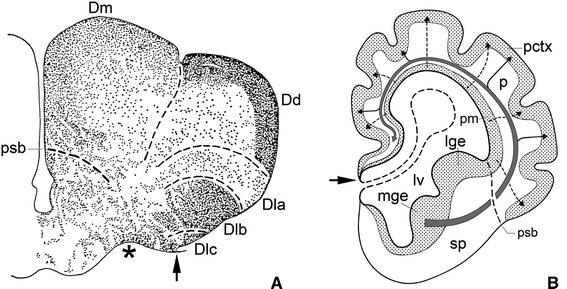 Fig. 6