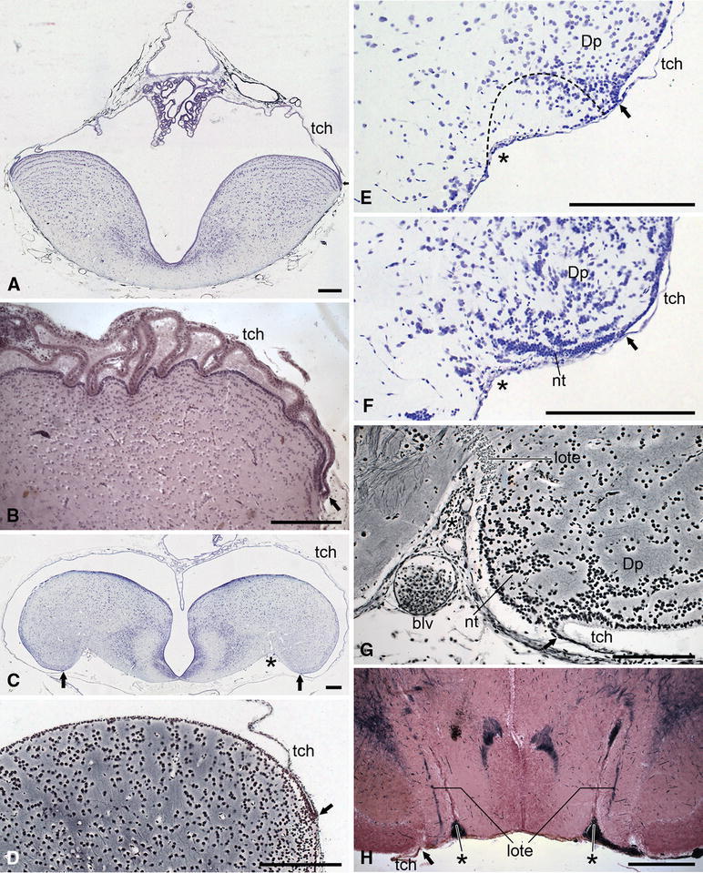 Fig. 5