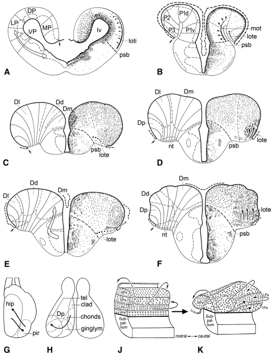 Fig. 7