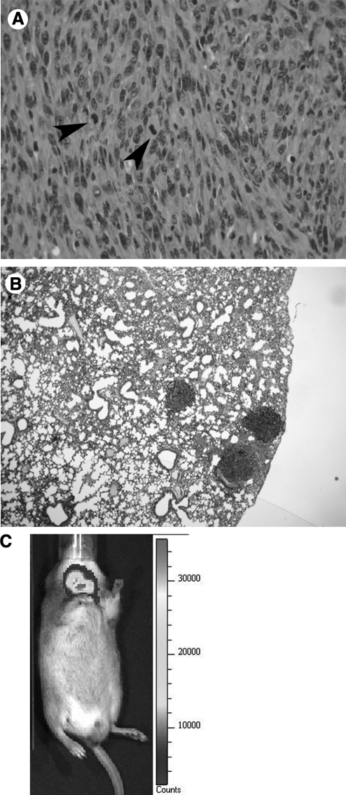 FIG. 5.