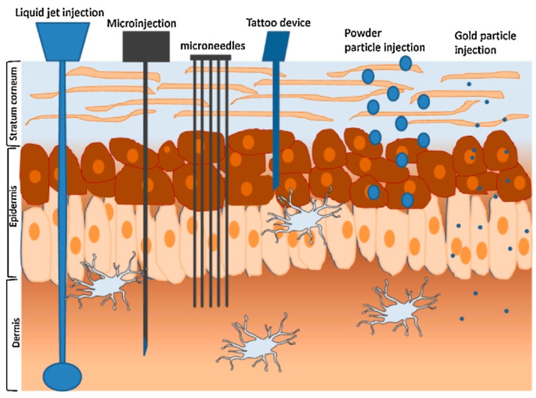 Figure 10