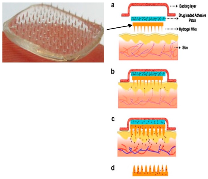 Figure 16