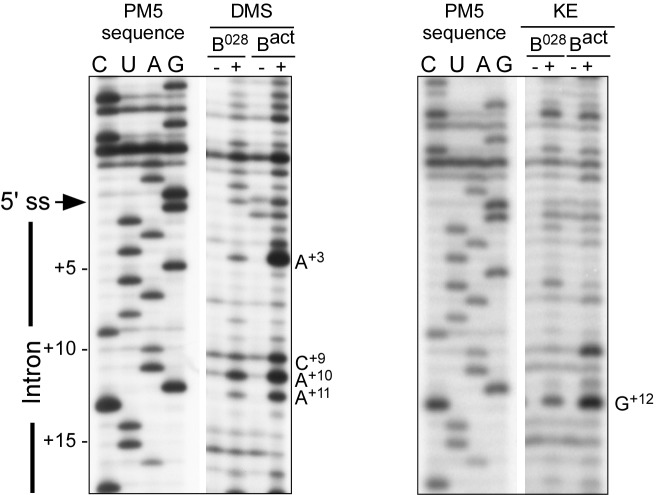 Figure 3—figure supplement 3.