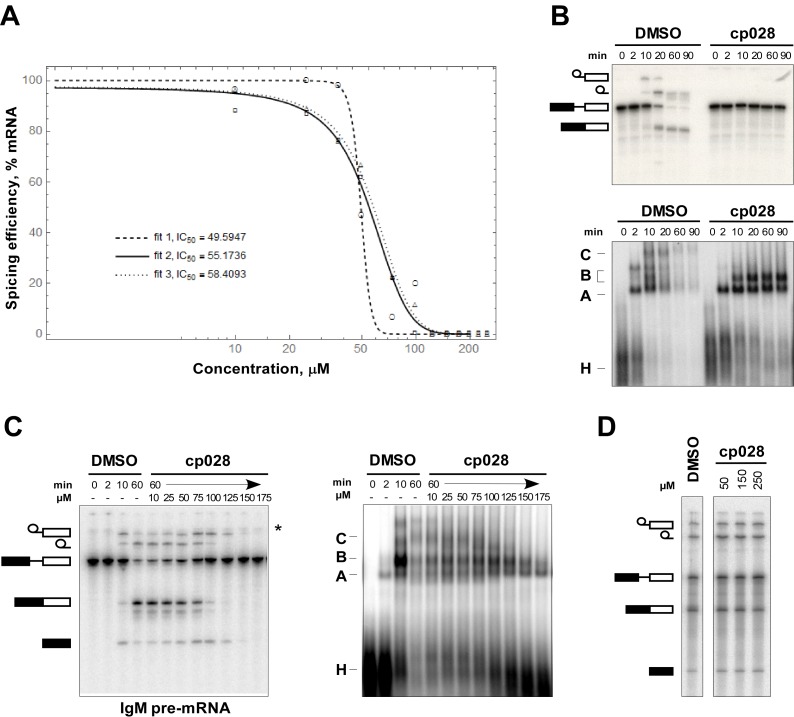 Figure 1—figure supplement 1.