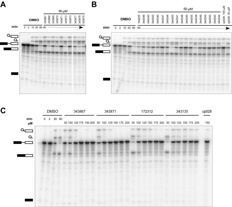 Figure 6—figure supplement 2.