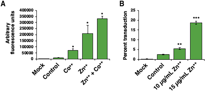 Figure 2