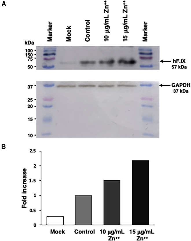 Figure 6