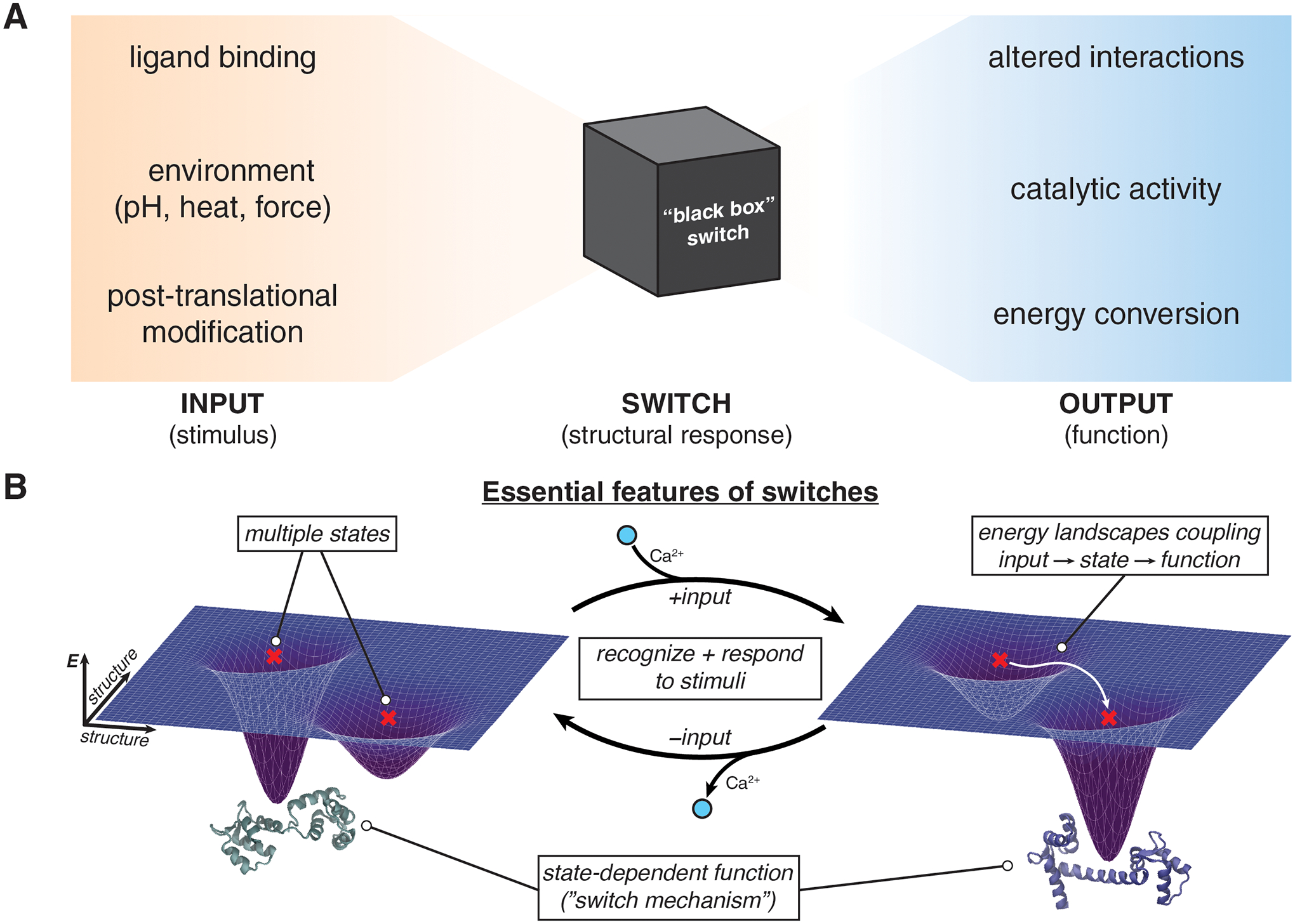 Figure 1 |