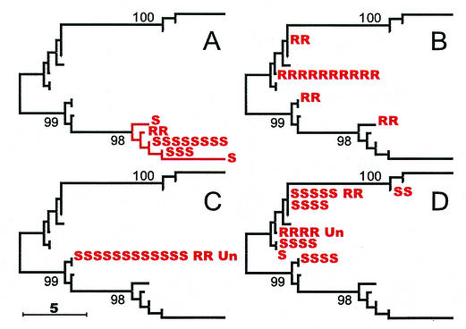 FIG. 6.