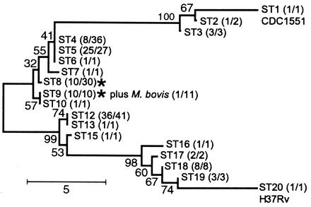 FIG. 2.