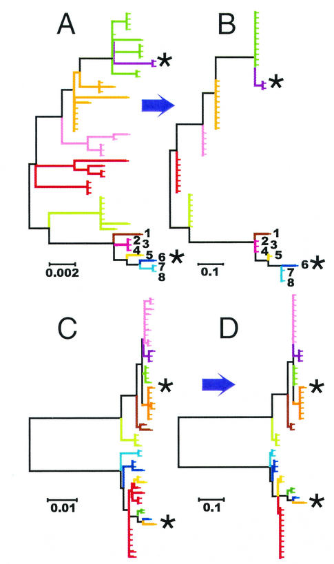 FIG. 3.