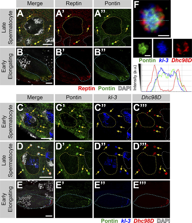 Figure 3.