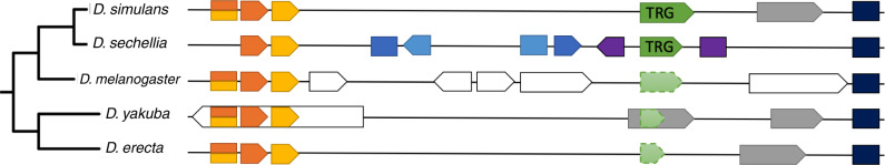 Fig. 5.