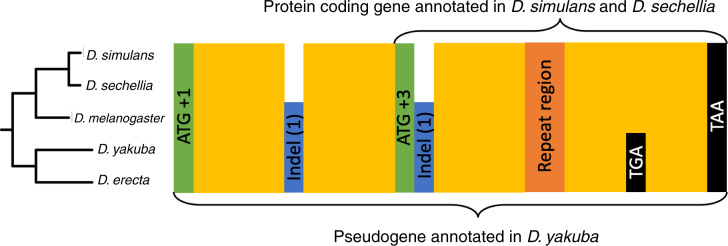 Fig. 6.