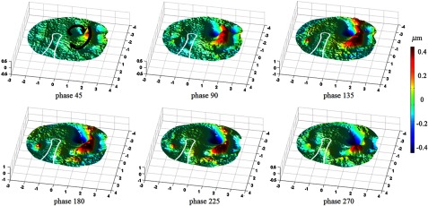 Fig. 9