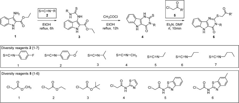 Scheme 1