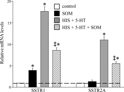 Fig. 11.