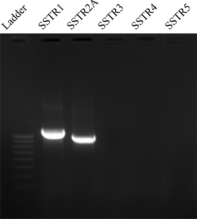 Fig. 9.