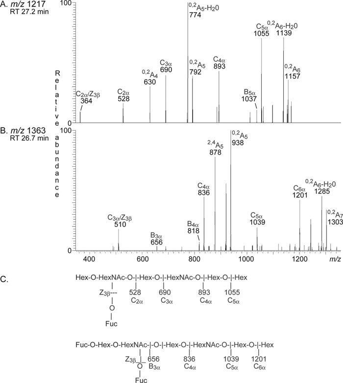 FIGURE 12.