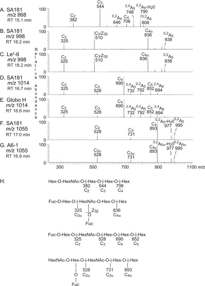 FIGURE 10.