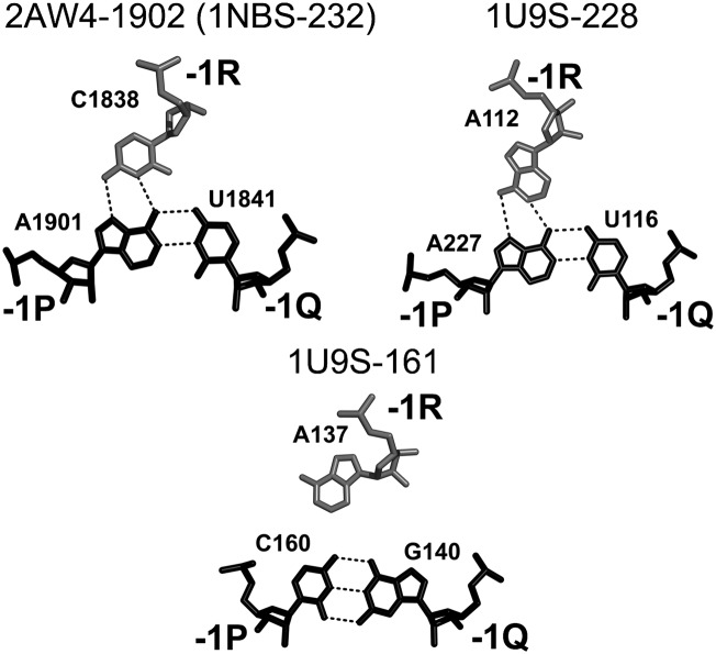 FIGURE 10.