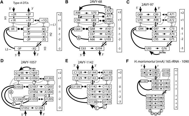 FIGURE 4.