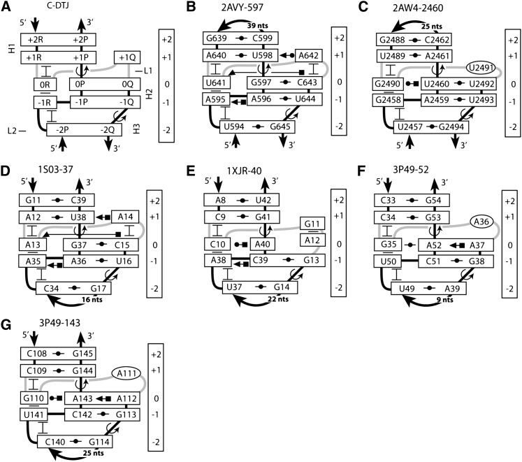 FIGURE 11.