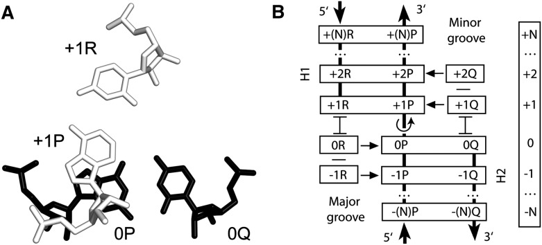 FIGURE 1.