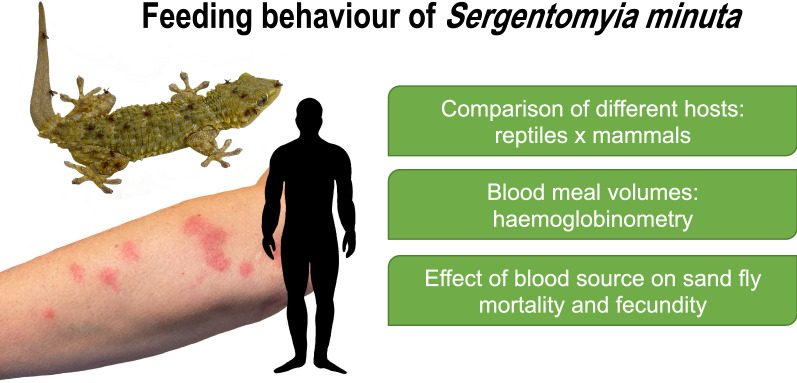 graphic file with name 13071_2023_5758_Figa_HTML.jpg