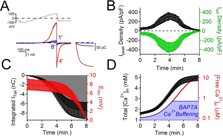 Figure 2—figure supplement 1.