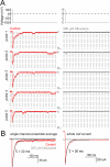 Figure 1—figure supplement 1.