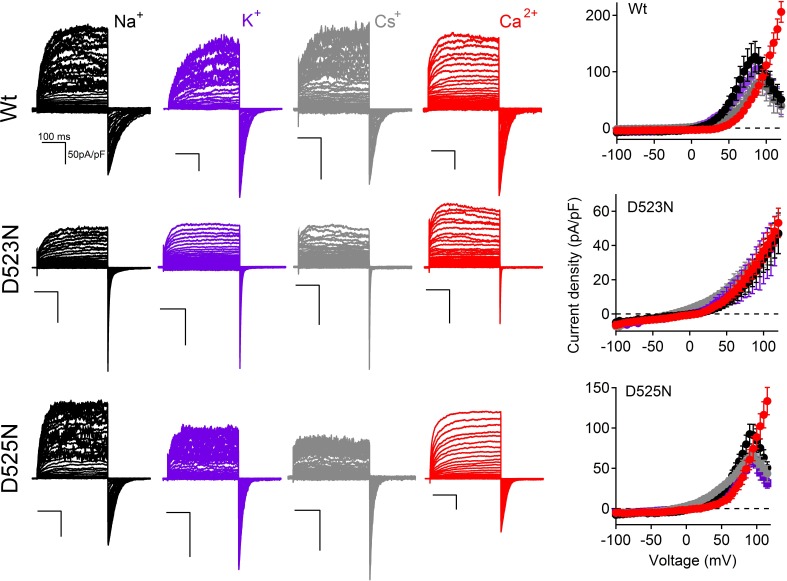 Figure 6—figure supplement 1.