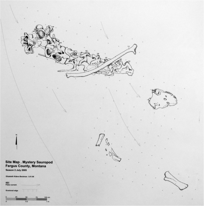Fig 11