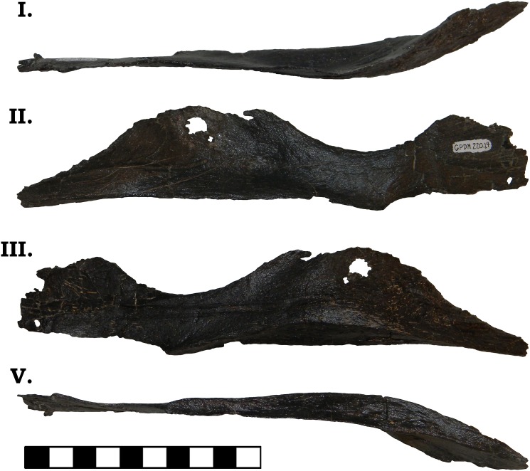 Fig 10
