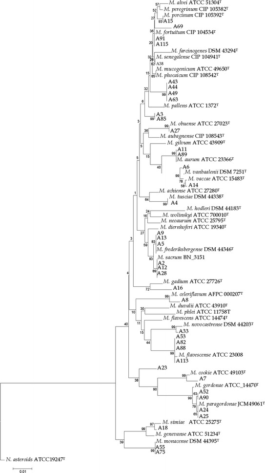 Fig. 2