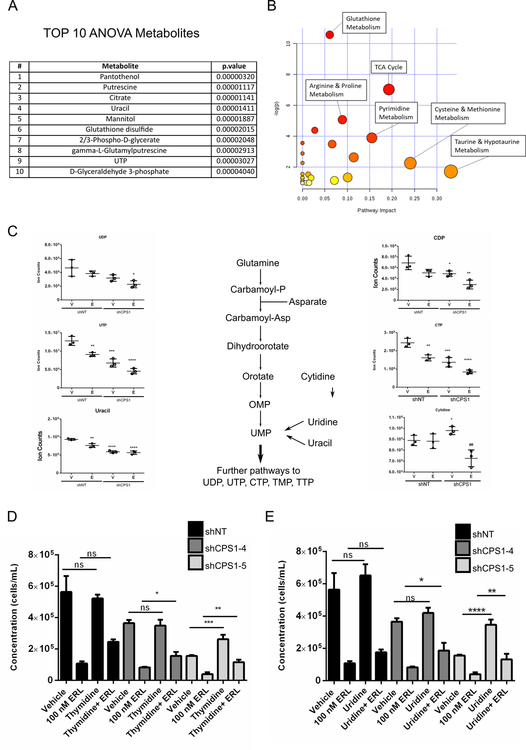 Figure 5: