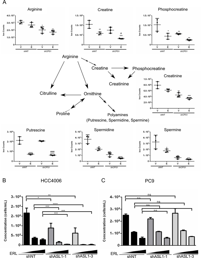 Figure 6: