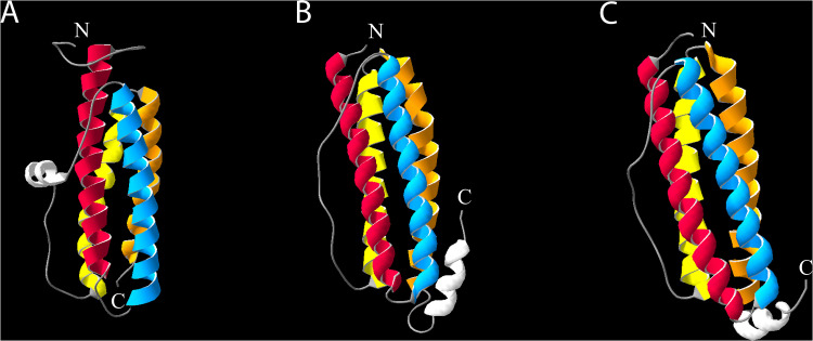 FIG 1